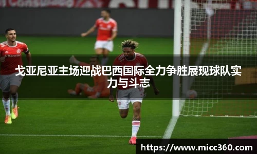 mk体育